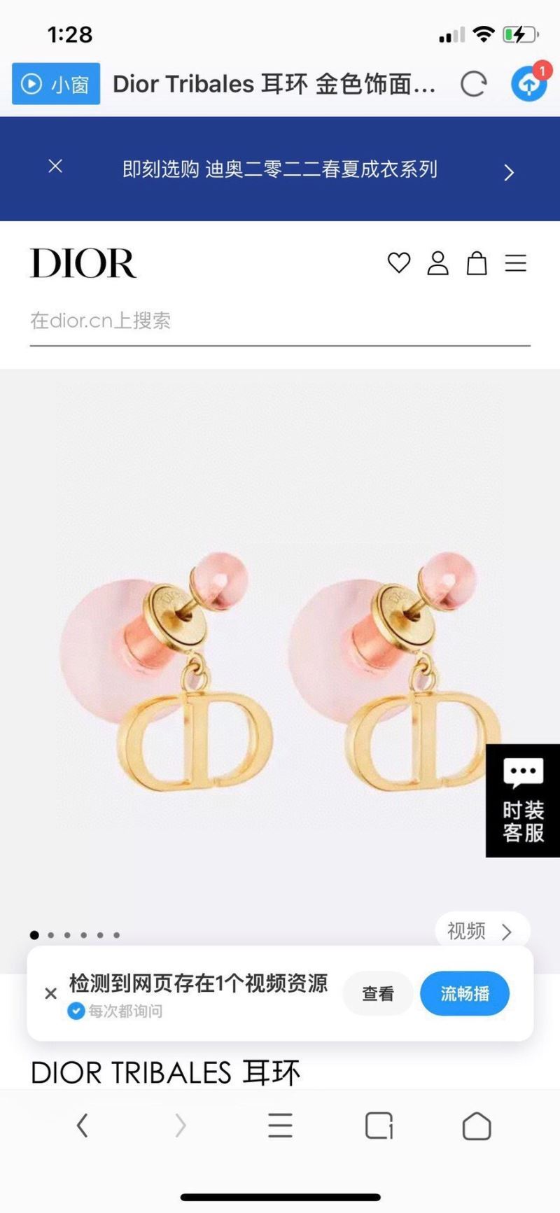 Christian Dior Earrings